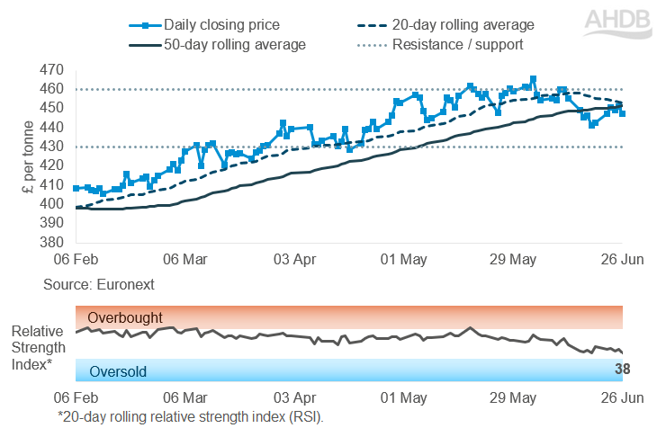 Line graph of Rapeseed futures Nov-26 contract prices over the past six months.